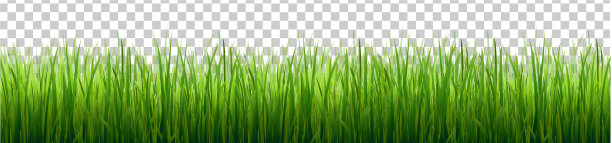 草边隔离透明背景图片下载