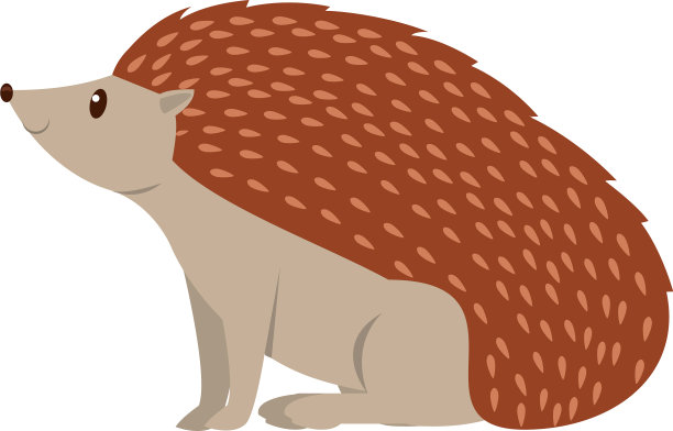 可爱的豪猪动物卡通孤立图片下载