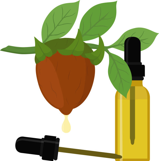 霍霍巴枝有机油瓶液体图片下载