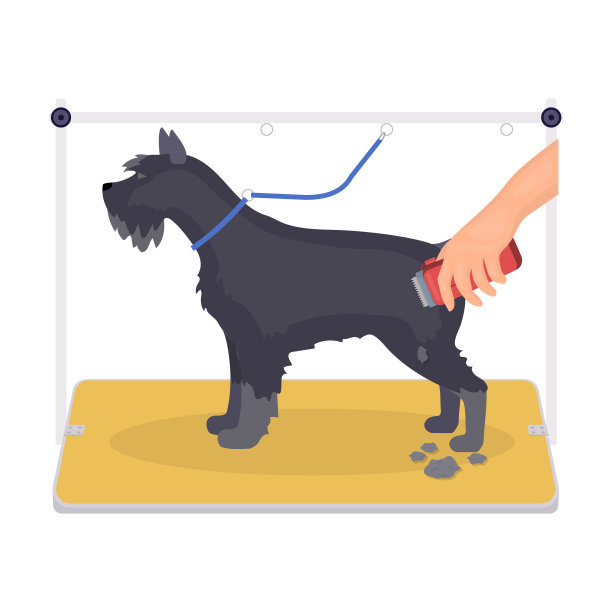 在时尚沙龙里给狗狗理发图片下载