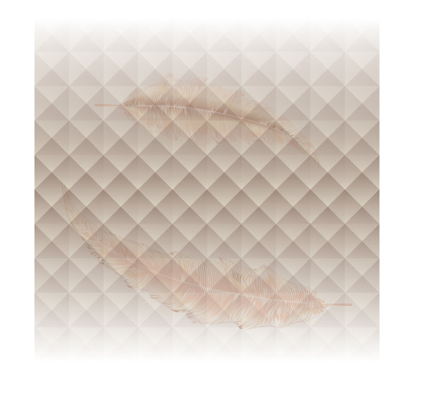 抽象背景上的柔软羽毛设计图片下载