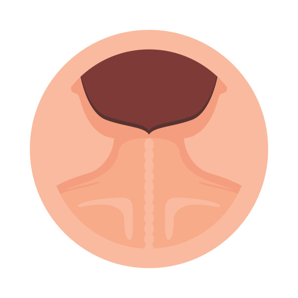 人体颈部和背部图标设计图片下载