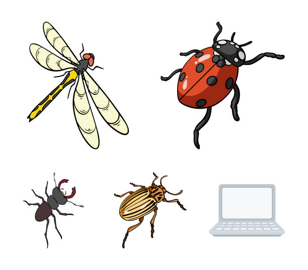 节肢动物昆虫瓢虫蜻蜓甲虫图片下载