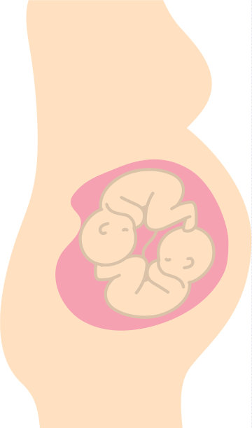 一个女人怀了一对双胞胎宝宝图片下载