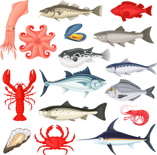 海鲜奢侈品收藏图片下载