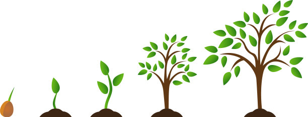 与植物生长相配套图片下载