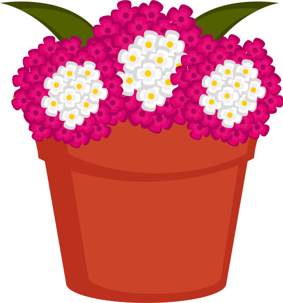 孤立的花盆与马鞭草花图片下载