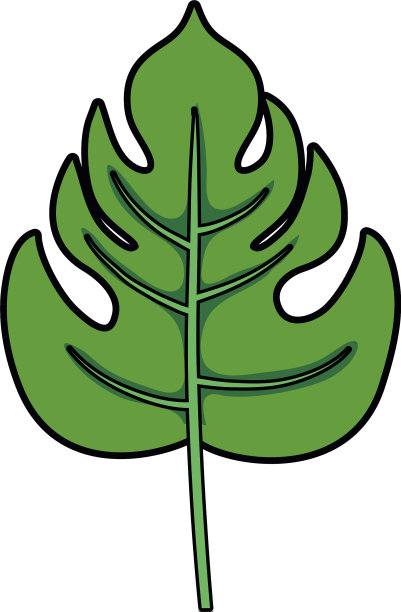 热带叶片设计图片下载