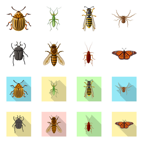 昆虫和苍蝇标志集图片下载