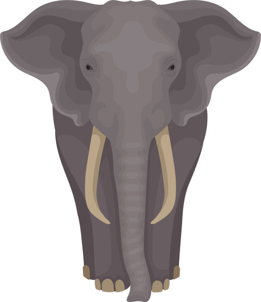 成年非洲象与野生哺乳动物图片下载