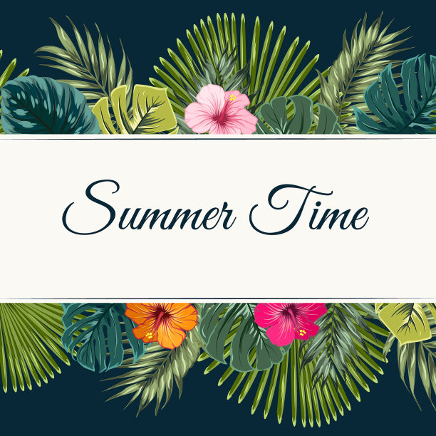 夏天的时候横幅木槿棕榈叶蓝黑色图片下载