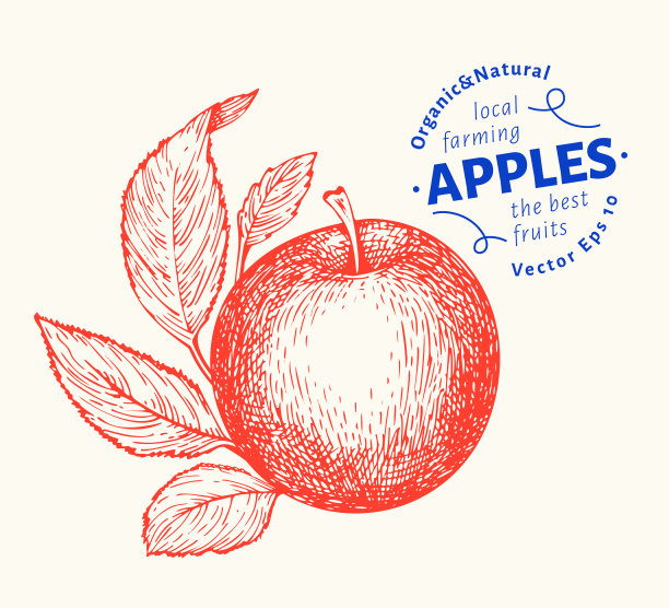 苹果枝手绘园艺水果雕刻图片下载