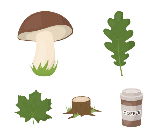 橡树叶蘑菇树桩枫树造林设置图片下载