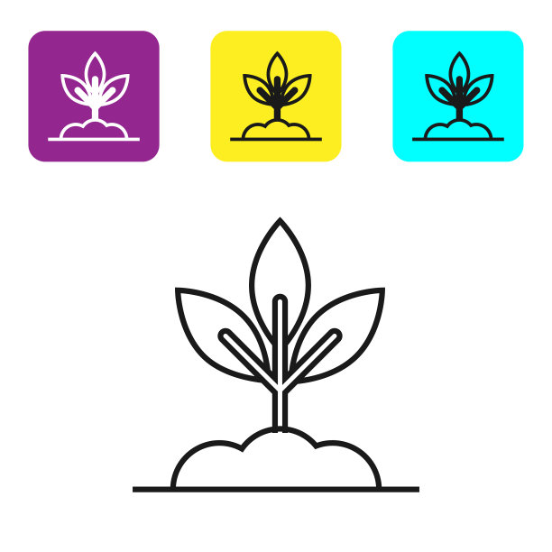 黑线植物图标孤立在白色背景图片下载