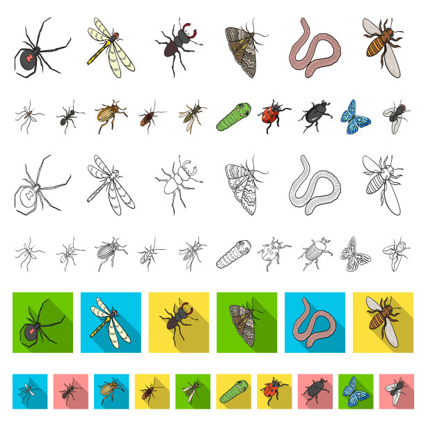 不同种类的昆虫卡通图标图片下载