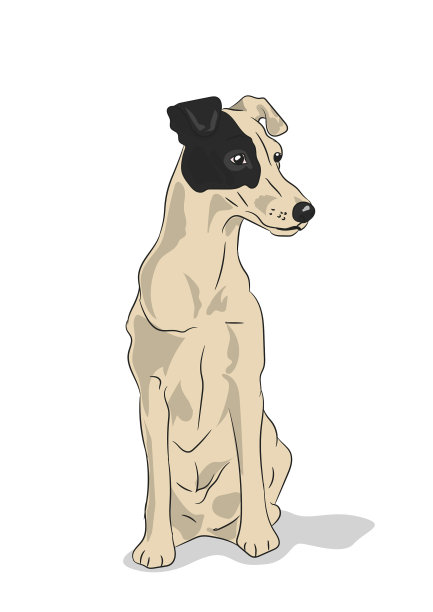 狗坐在图片下载