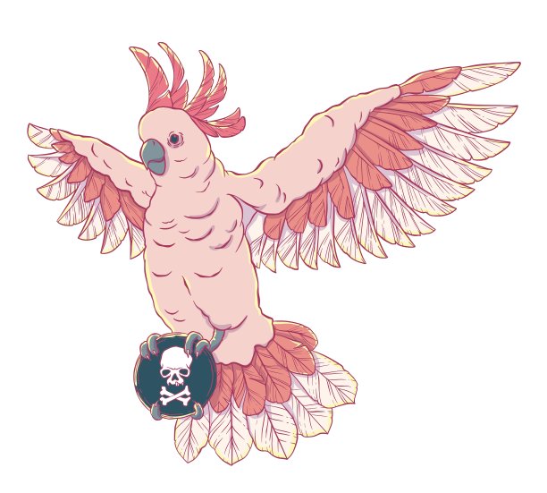张开翅膀飞行的海盗鹦鹉图片下载