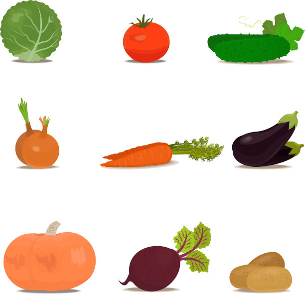 时尚的设计一套水果和蔬菜图片下载