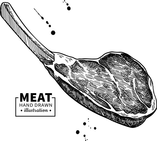 上等肋画牛肉，猪肉或羊肉红图片下载
