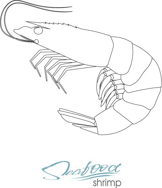 轮廓虾线形轮廓虾图片下载