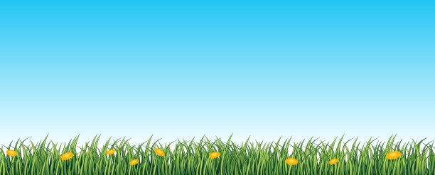 绿草无缝背景图片下载