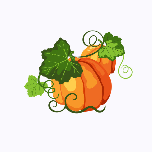 两个绿色叶子的南瓜图片下载