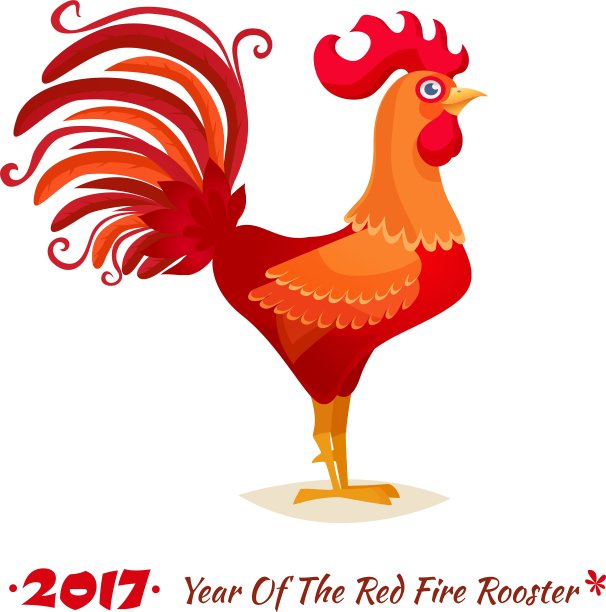红火鸡图片下载