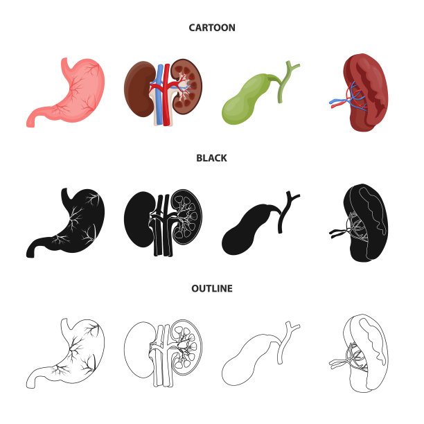 人体和人体符号的设计集图片下载