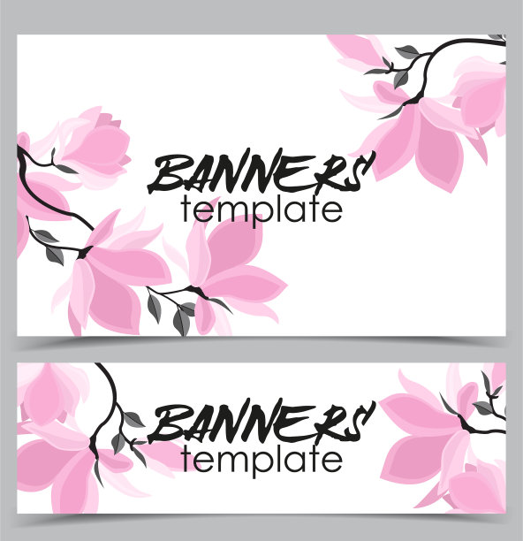 木兰的花图片下载