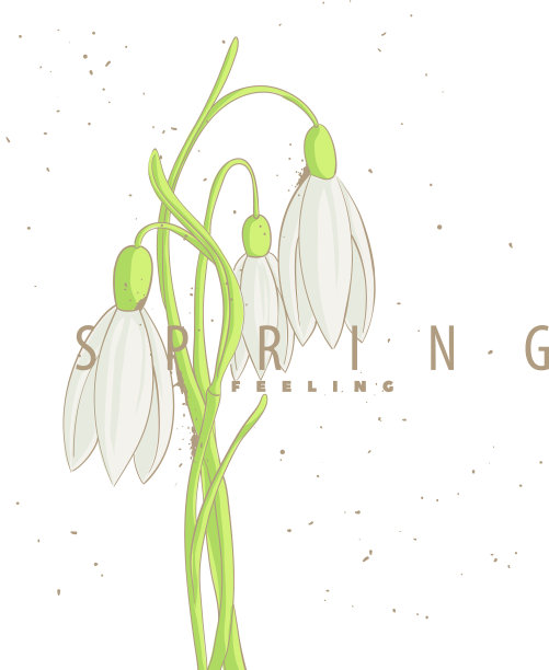 第一个春天的花朵图片下载