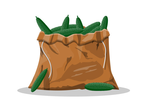 帆布袋里的新鲜黄瓜图片下载