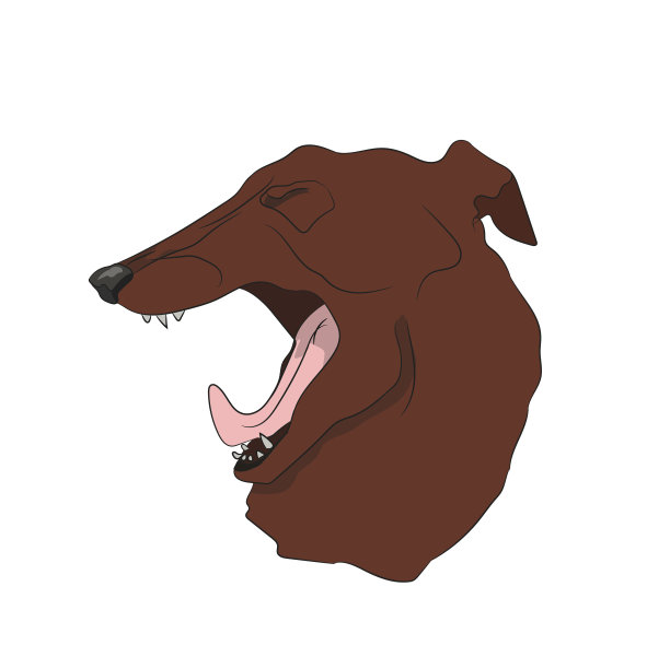 狗的头像向下看图片下载