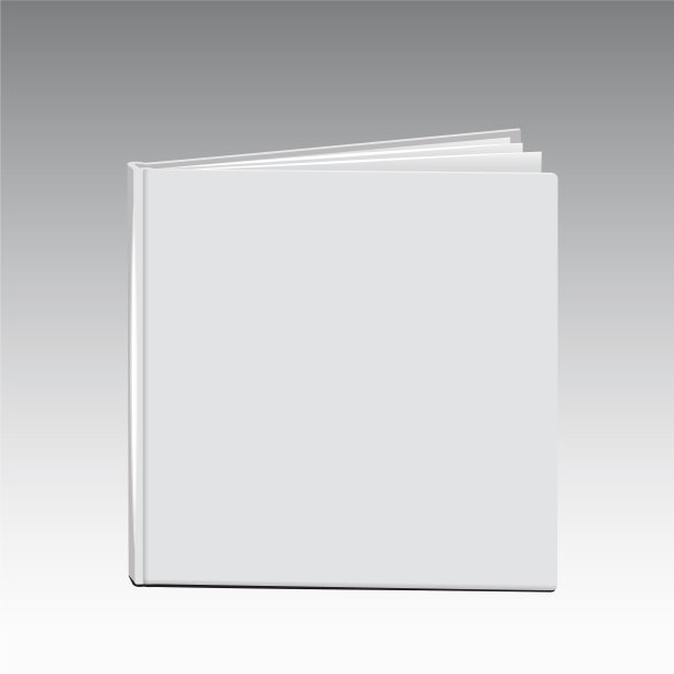 白皮书模板空白封面站立图片下载