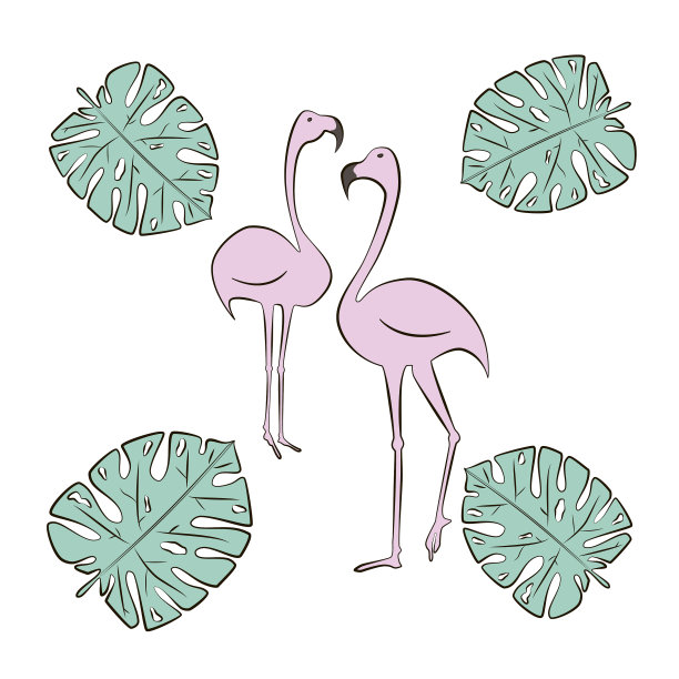 火烈鸟粉红色的鸟与怪物叶图片下载