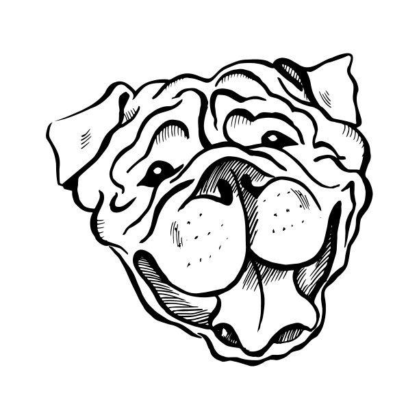 英国牛头犬图片下载