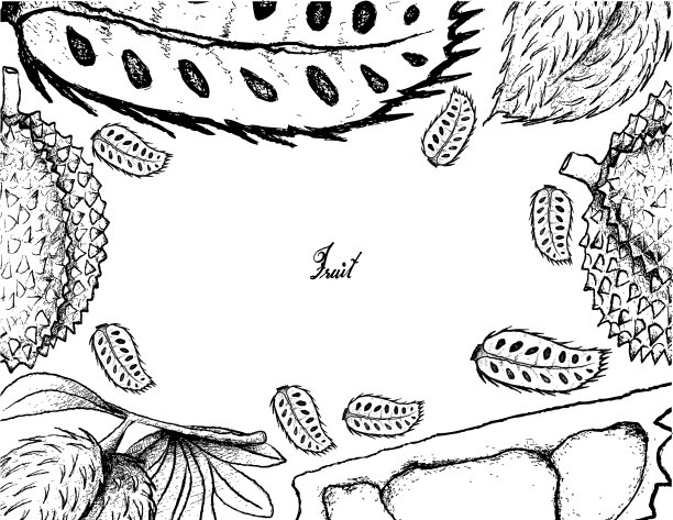 手工绘制的酸枣和榴莲果架图片下载