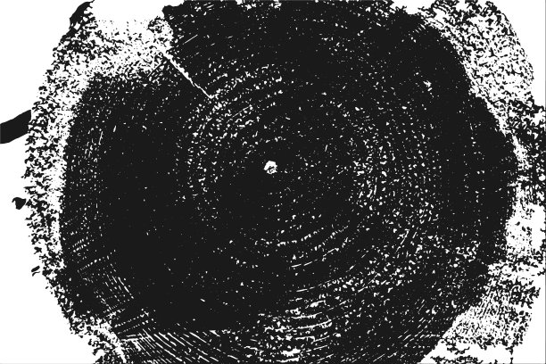 木头枯燥乏味的纹理图片下载