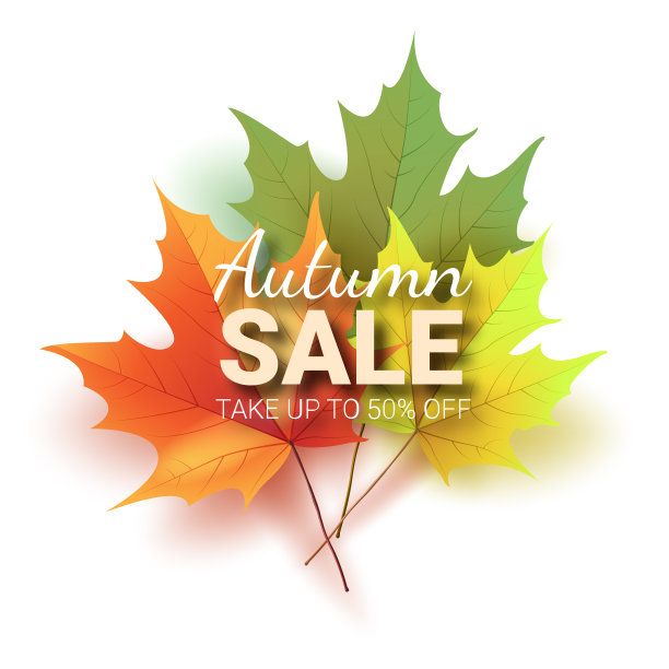 秋天的树叶鲜艳多彩，秋天的橡树叶图片下载