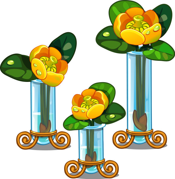 玻璃花瓶中盛开的黄色黄叶图片下载