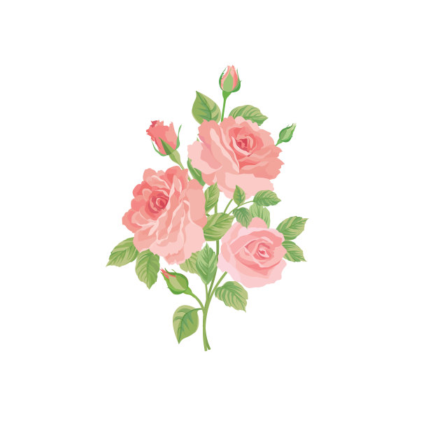 鲜花，花束，花架，蓬勃问候图片下载