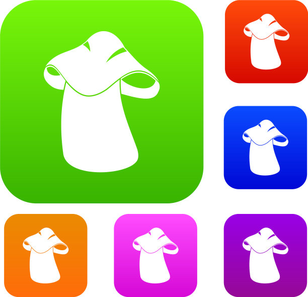 牛肝菌集色集图片下载