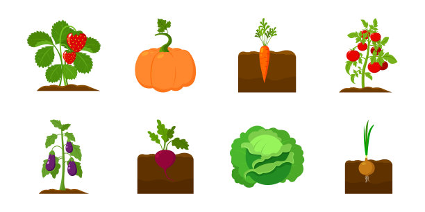 植物蔬菜图标集合为图片下载