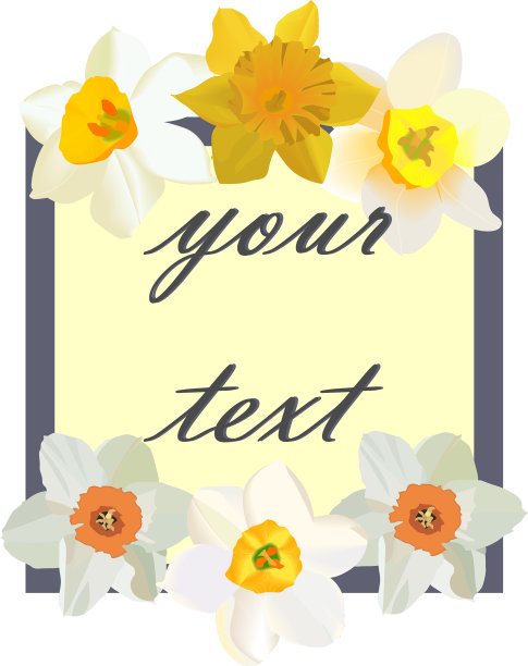 花明信片水仙花明信片图片下载