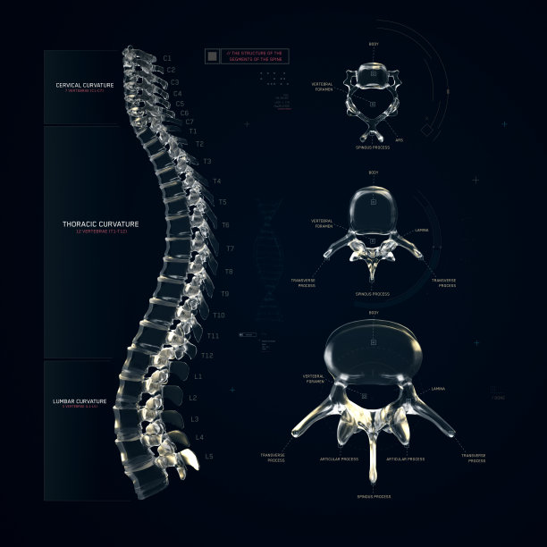 3d渲染HUD元素ui医疗图片-库存插图图片下载