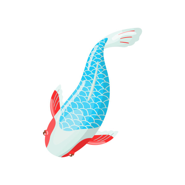 鲤鱼锦鲤是日本传统的神鱼图片下载