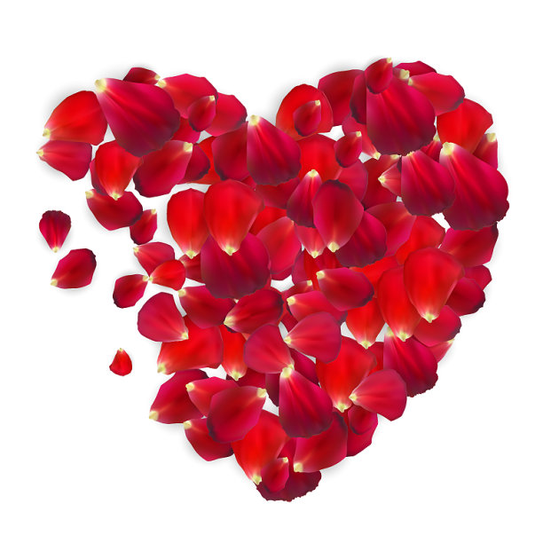 背景的自然玫瑰花瓣图片下载