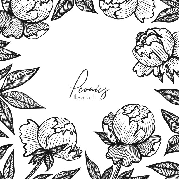 花框架与牡丹详细图形图片下载