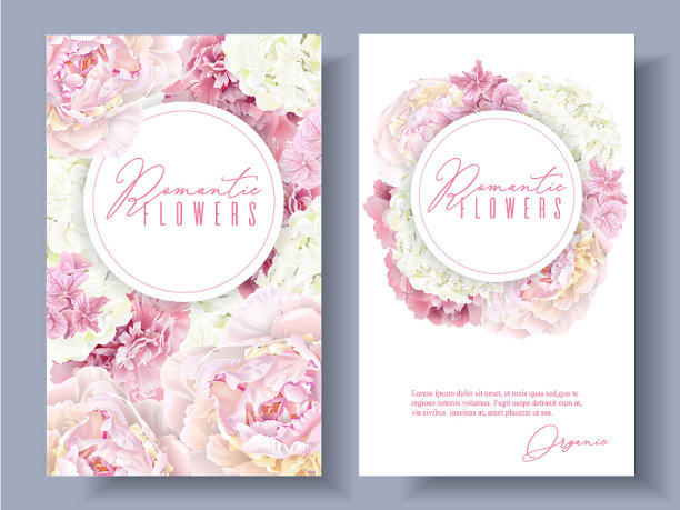 牡丹粉红色的横幅图片下载