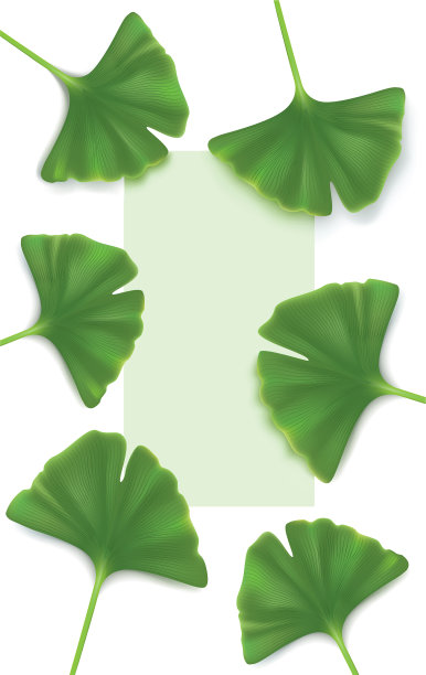 银杏的背景图片下载