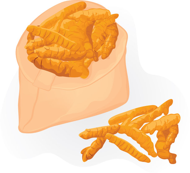 姜黄根装在袋子里，白色背景图片下载